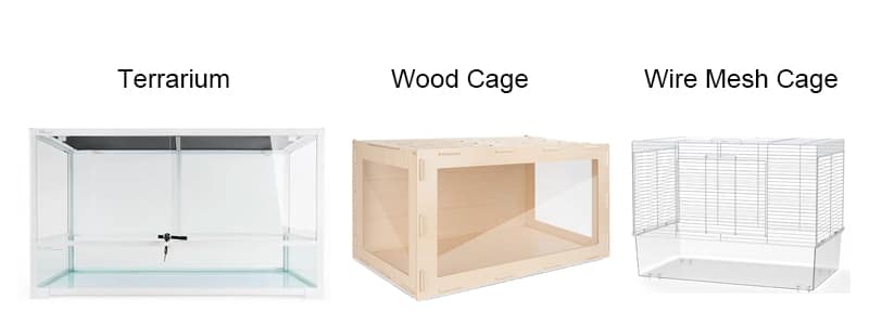 Curated visual reference: Fresh Look at Ensuring Your Hamster S Well Being 9 Essential Necessities And