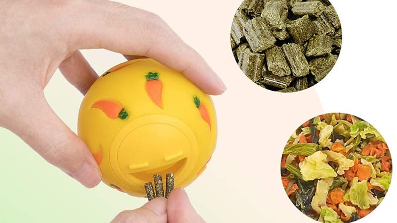 Picture of Top 9 Hamster Toys for Physical and Mental Stimulation: From Running ...